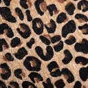 154344-03.webp