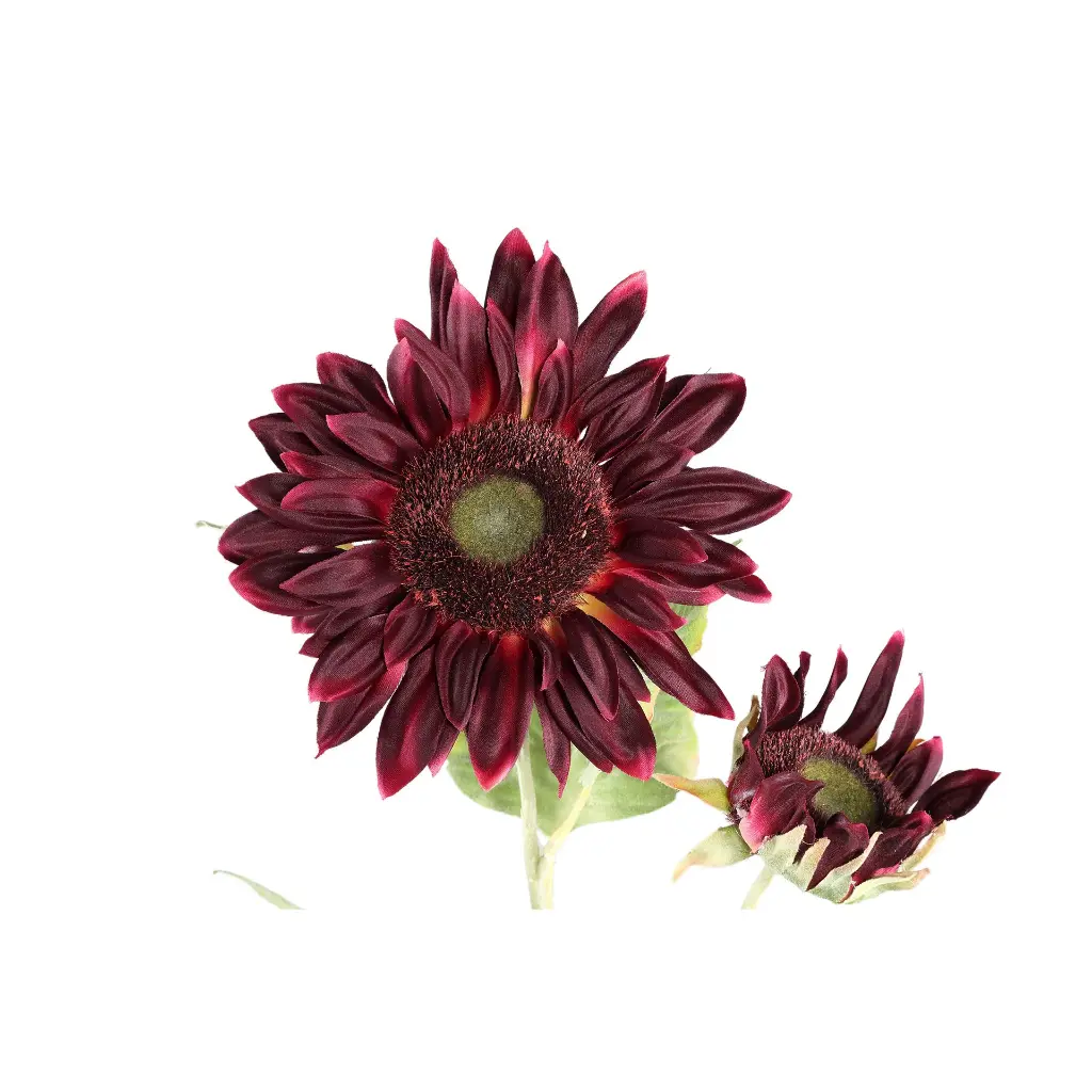 717965-1.webp