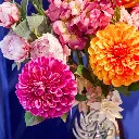 57026-3_s.webp