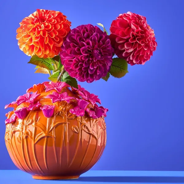 57026-2_s.webp