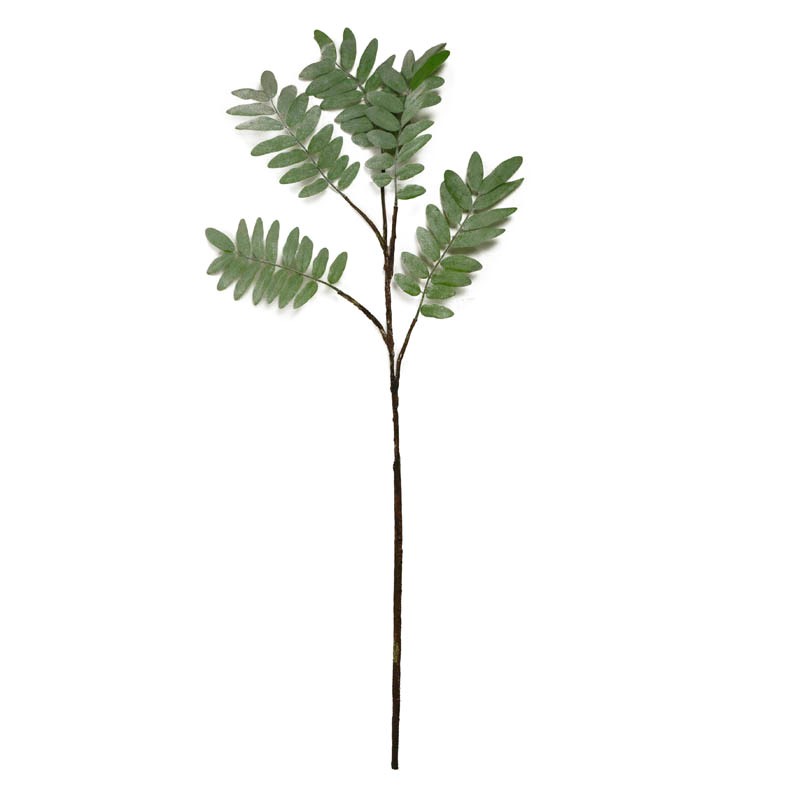 Pterocarya stem green 31x31x109