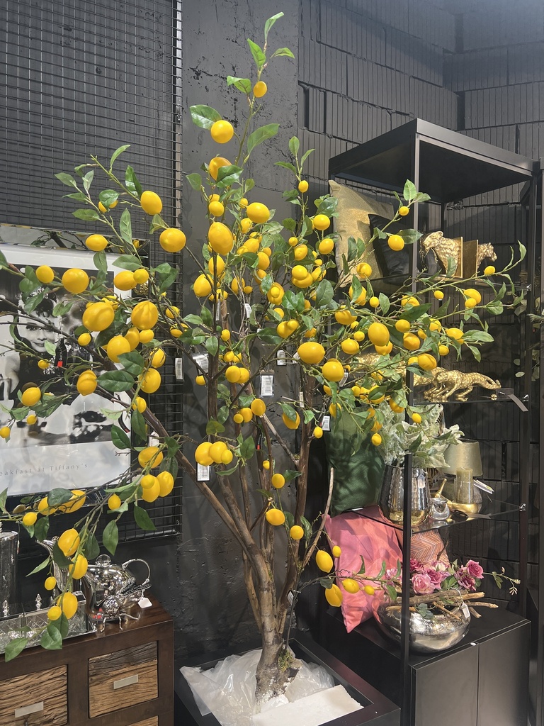 Lemon Tree