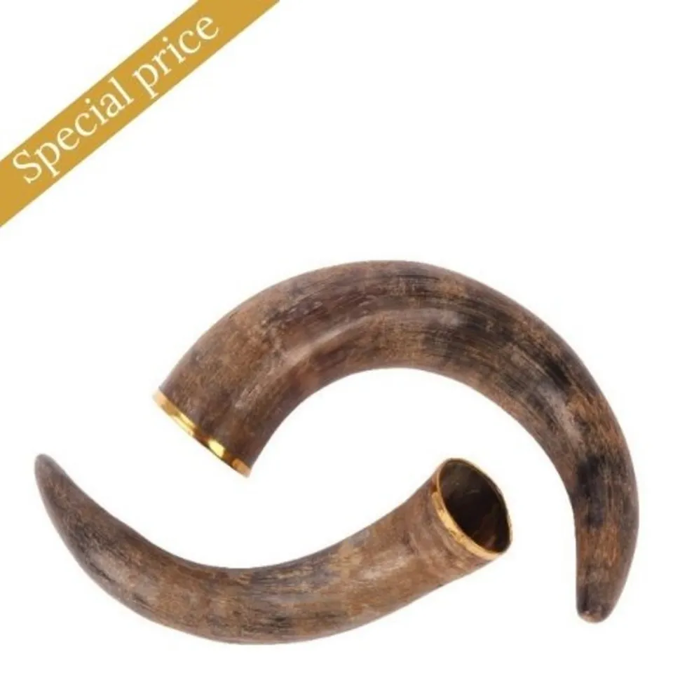 Deco set2 horn 30 cm