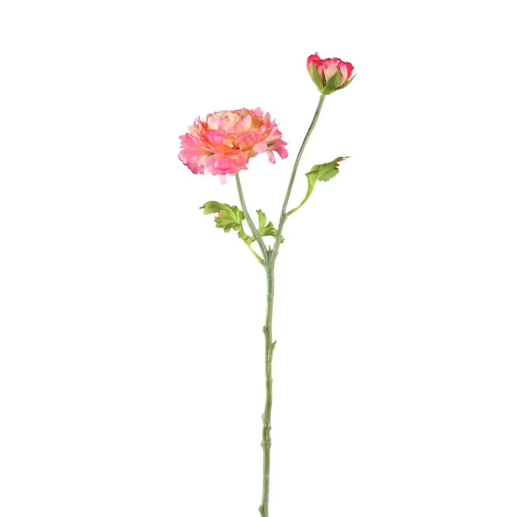 Garden Flower pink ranunculus spray with buds 20x10x53cm