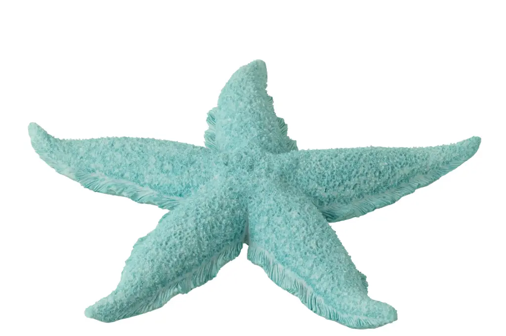STARFISH POLYRESIN AZURE L (30x30x4cm)
