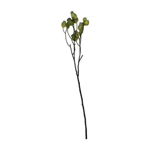 [360-22-081] Berry bush green 18x10x69