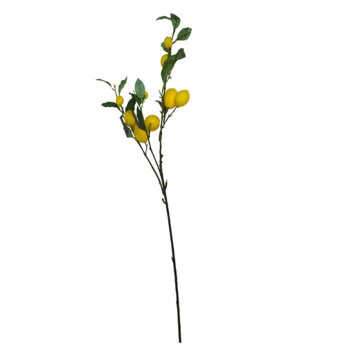 [360-22-100] Lemon stem green 103cm