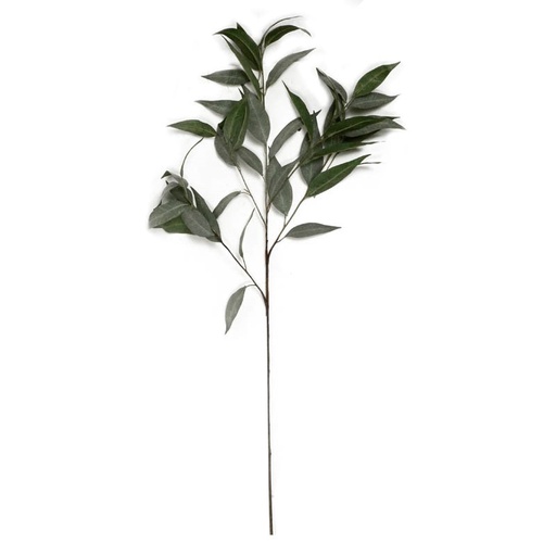 [360-22-079] Eucalyptus branch grey green 42x42x99