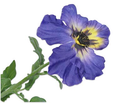 [128268] PANSY STEM BLUE 42 cm