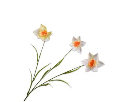 [143075] NARCISSUS SPRAY WHT/YLL 70 cm