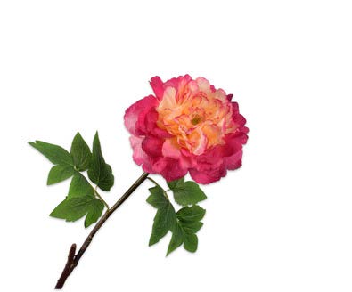 [144214] PEONY SPRAY BEAUTY 86 cm