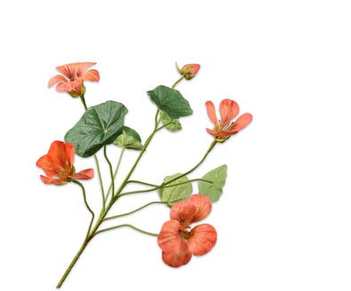 [144877] NASTURTIUM SPRAY ORANGE 59 cm
