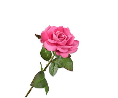 [145018] ROSE STEM RED 74 cm
