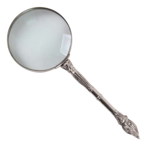 [0428.305] Magnifier 20x8 cm