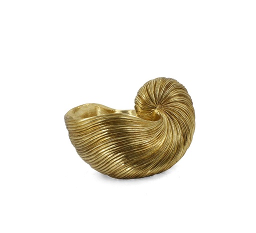 [325-707] SEASHELL IN GOLD RESIN 36x20x23,5h