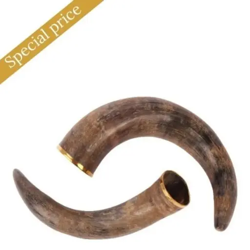 [4971.360] Deco set2 horn 30 cm