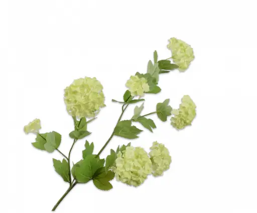 [139378] SNOWBALL SPRAY GRN LT 78 cm