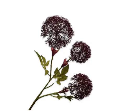 [152067] HOGWEED SPRAY BURGUND 90 cm