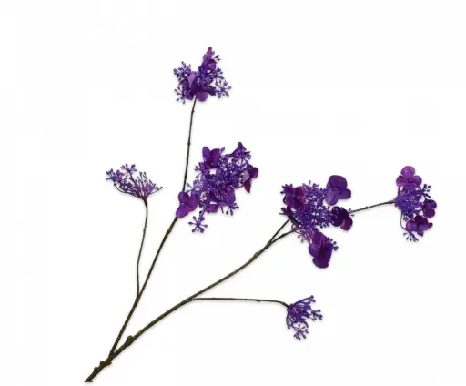 [152095] HYDRANGEA SPRAY PURPLE RT 94 cm